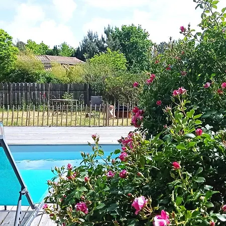 Maison Bois Chez M&d * Lège-Cap-Ferret